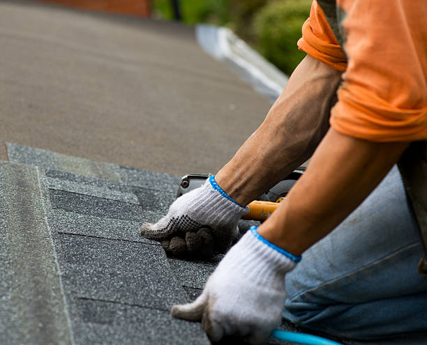Best Roof Leak Repair  in Waverly, OH